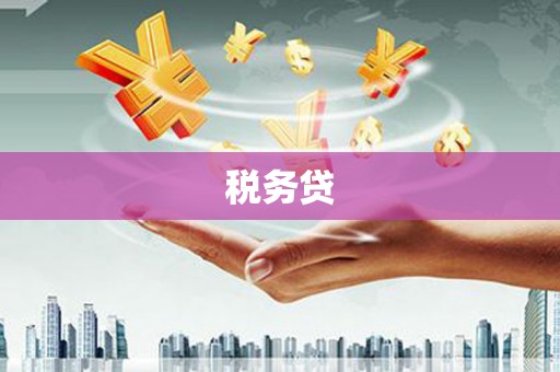 讷河税务贷
