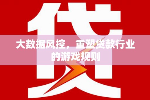 讷河大数据风控，重塑贷款行业的游戏规则