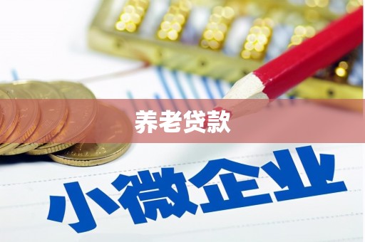 讷河养老贷款