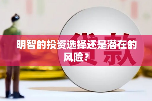 讷河明智的投资选择还是潜在的风险？