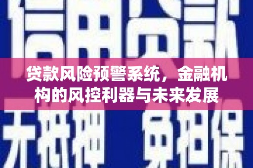 讷河贷款风险预警系统，金融机构的风控利器与未来发展