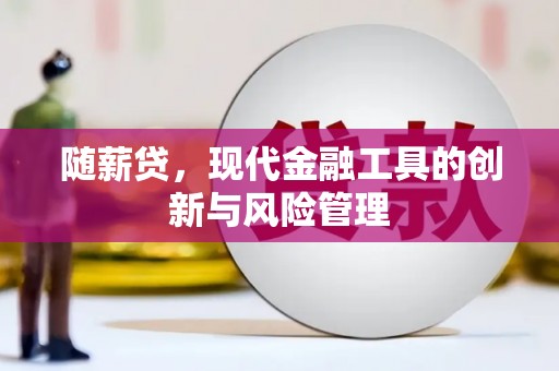 讷河随薪贷，现代金融工具的创新与风险管理