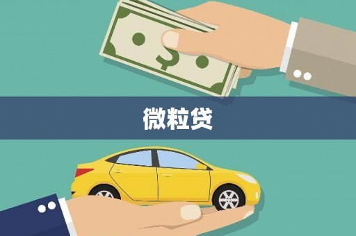 讷河微粒贷