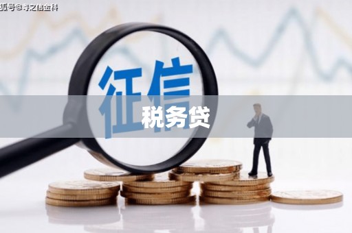 讷河税务贷