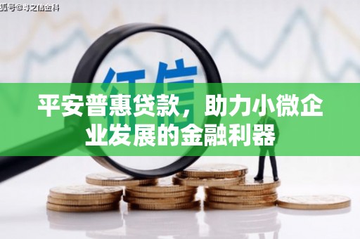 讷河平安普惠贷款，助力小微企业发展的金融利器
