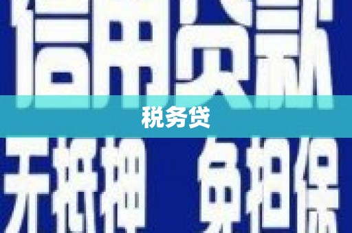 讷河税务贷