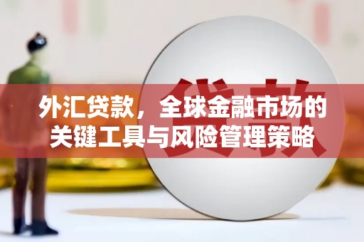 讷河外汇贷款，全球金融市场的关键工具与风险管理策略