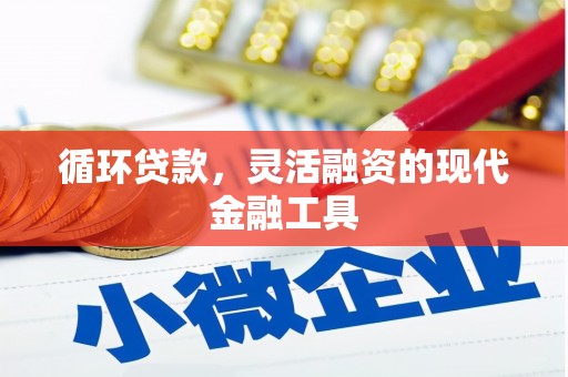 讷河循环贷款，灵活融资的现代金融工具