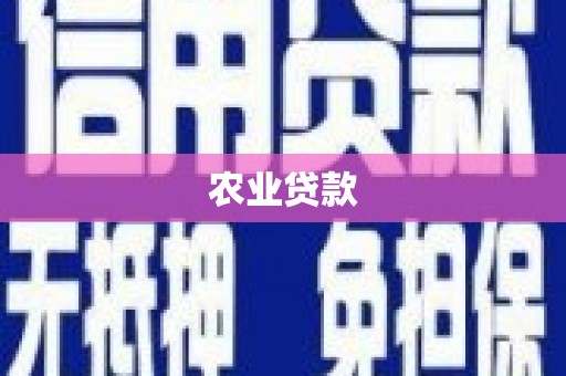 讷河农业贷款