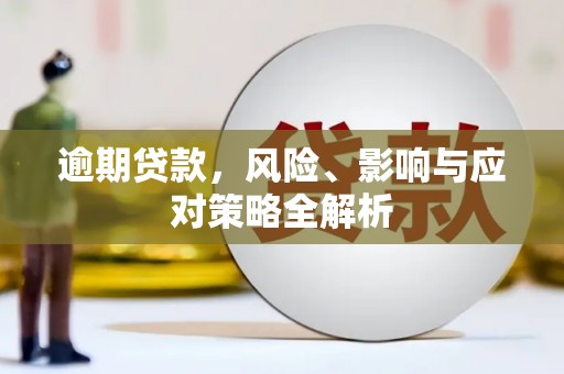 讷河逾期贷款，风险、影响与应对策略全解析