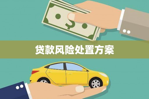 讷河贷款风险处置方案