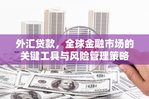 讷河外汇贷款，全球金融市场的关键工具与风险管理策略