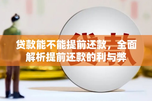 讷河贷款能不能提前还款，全面解析提前还款的利与弊