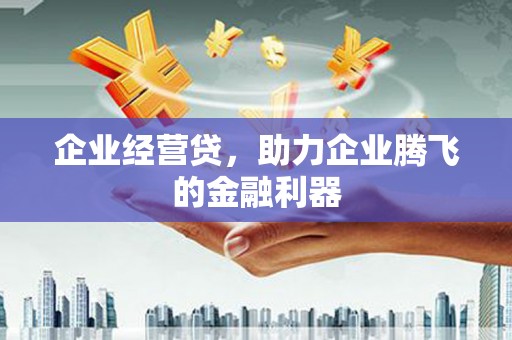 讷河企业经营贷，助力企业腾飞的金融利器