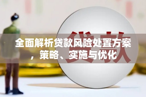 讷河全面解析贷款风险处置方案，策略、实施与优化