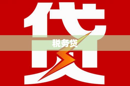 讷河税务贷