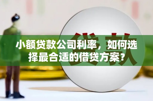 讷河小额贷款公司利率，如何选择最合适的借贷方案？