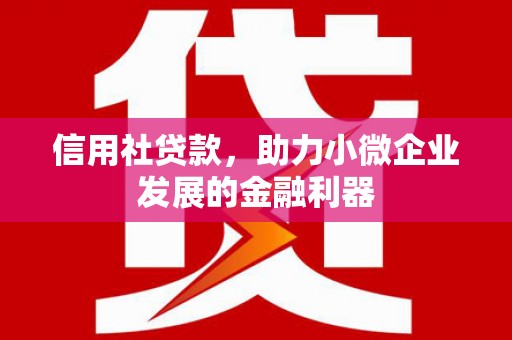 讷河信用社贷款，助力小微企业发展的金融利器
