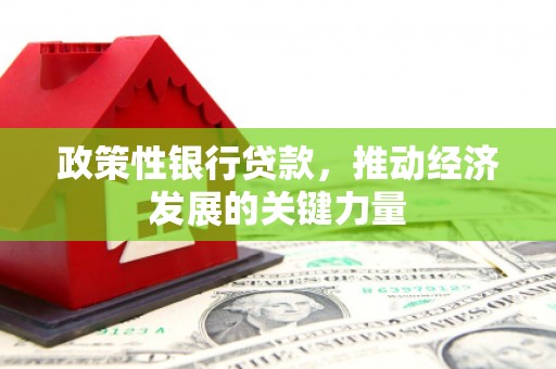 讷河政策性银行贷款，推动经济发展的关键力量