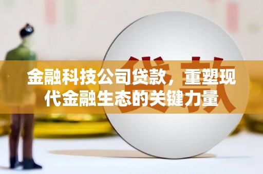 讷河金融科技公司贷款，重塑现代金融生态的关键力量