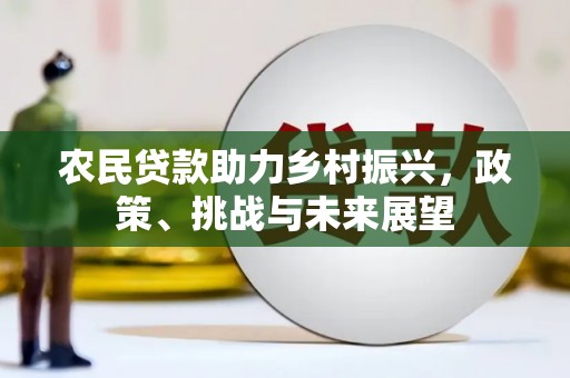 讷河农民贷款助力乡村振兴，政策、挑战与未来展望
