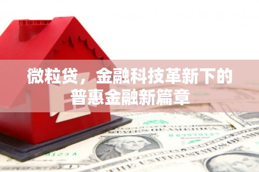 讷河微粒贷，金融科技革新下的普惠金融新篇章