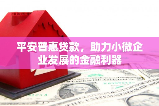讷河平安普惠贷款，助力小微企业发展的金融利器