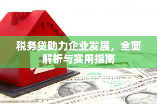 讷河税务贷助力企业发展，全面解析与实用指南