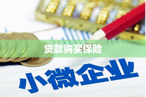 讷河贷款购买保险