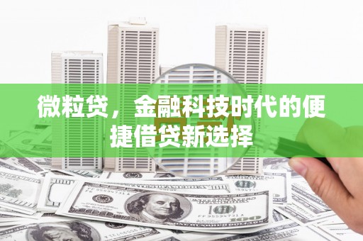 讷河微粒贷，金融科技时代的便捷借贷新选择