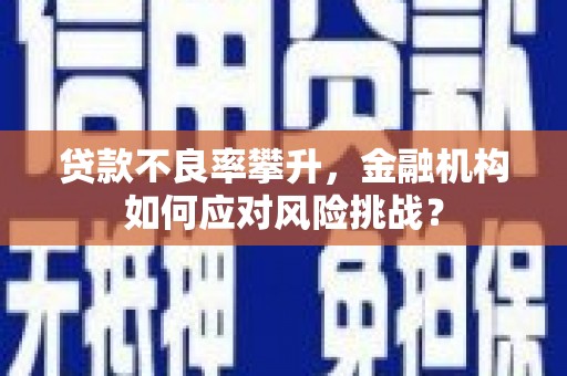 讷河贷款不良率攀升，金融机构如何应对风险挑战？
