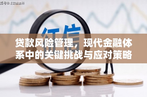 讷河贷款风险管理，现代金融体系中的关键挑战与应对策略