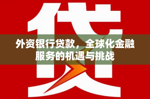 讷河外资银行贷款，全球化金融服务的机遇与挑战