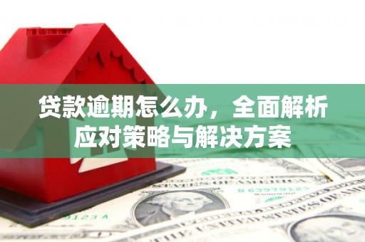 讷河贷款逾期怎么办，全面解析应对策略与解决方案